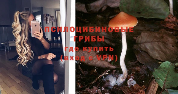 герыч Пестово