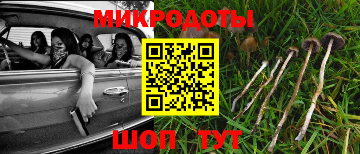 Зеленодольск  Псилоцибиновые грибы Psilocybine cubensis  Вход с VPN 