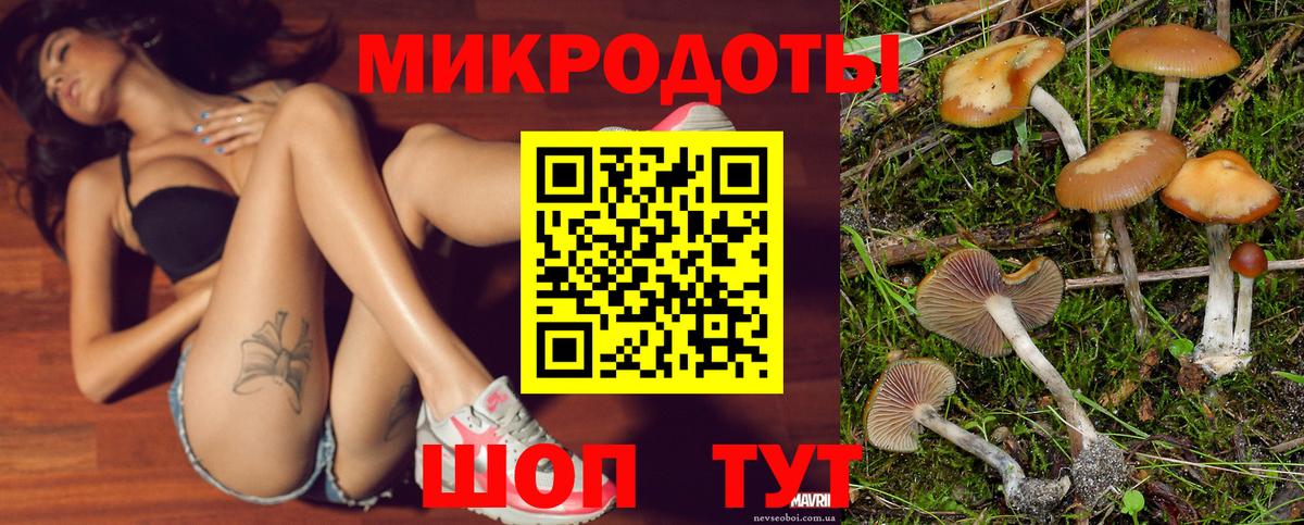 Псилоцибиновые грибы Cubensis  Зеленодольск 