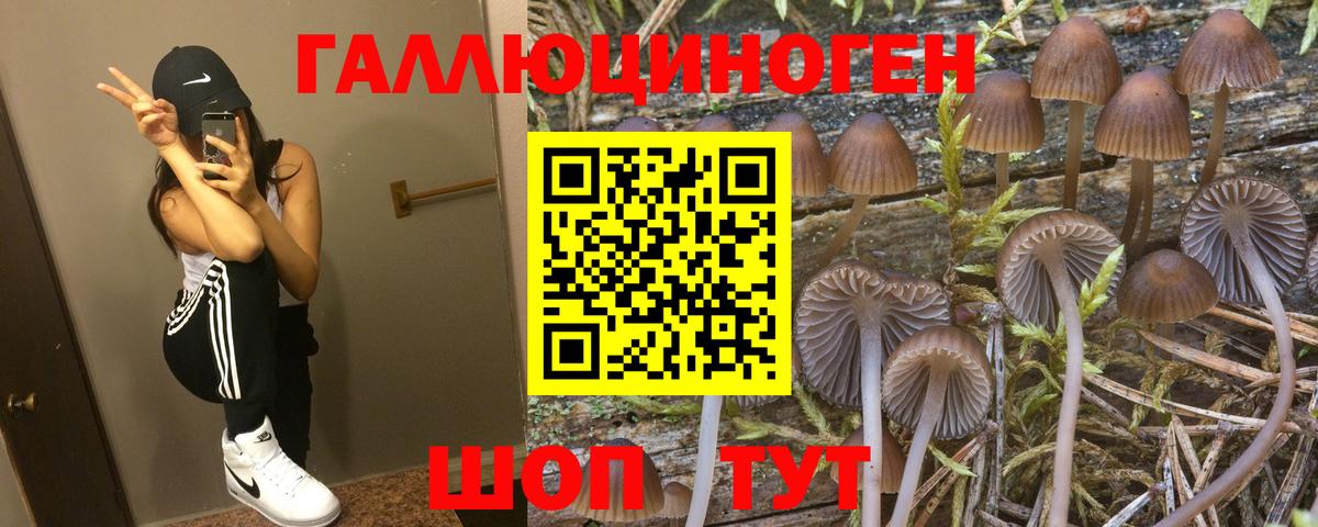 Псилоцибиновые грибы прущие грибы Зеленодольск