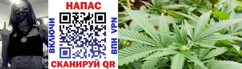 Шишки марихуана конопля  Зеленодольск 